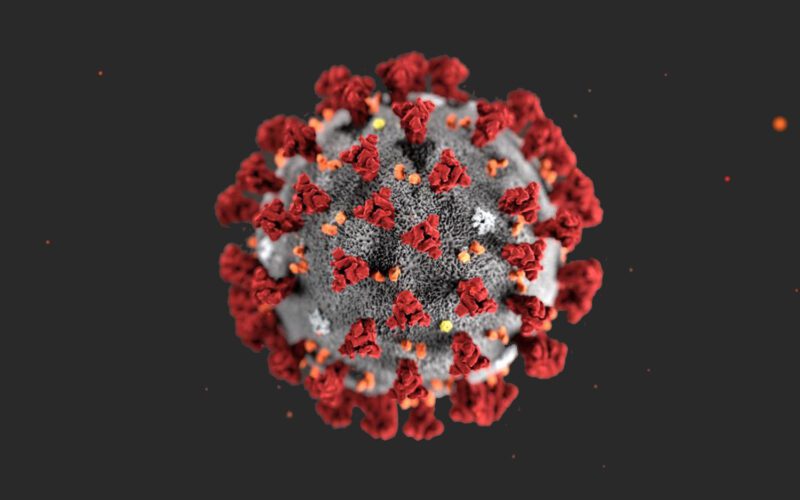 koronavirius1 koronavirius1