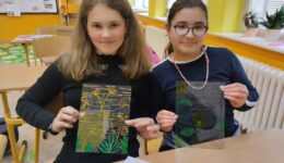 IMG_20240416_145459