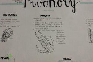 IMG_20240522_130819