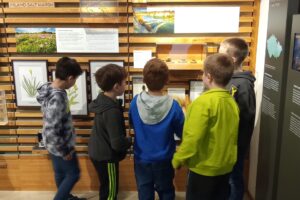 IMG_20250321_092655