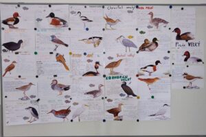 IMG_20250403_135113857_AE