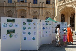IMG_20250621_100513
