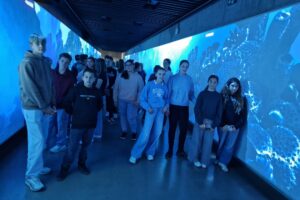 0efccc81-4201-4bd4-aeba-1eb3284d8e12 0efccc81-4201-4bd4-aeba-1eb3284d8e12