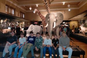 1000014529 1000014529