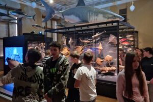 852e2408-20ac-4e9b-bf14-9f54efb5ef97 852e2408-20ac-4e9b-bf14-9f54efb5ef97