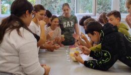 IMG_20251010_121519082_HDR