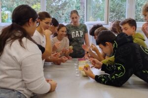 IMG_20251010_121519082_HDR IMG_20251010_121519082_HDR