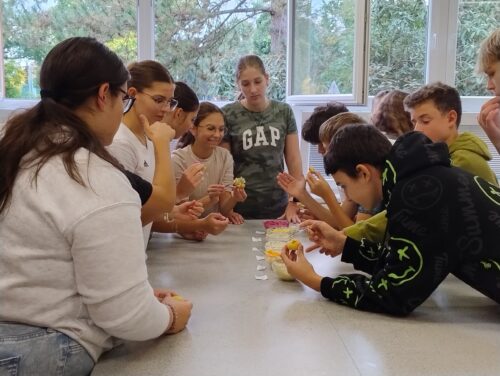 IMG_20251010_121519082_HDR