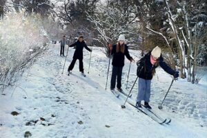 IMG_20251124_141939 IMG_20251124_141939