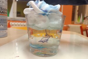 IMG_20260127_064604 IMG_20260127_064604