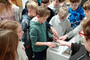 1000026046 1000026046