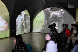 1000027777 1000027777