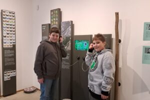 1000027816 1000027816