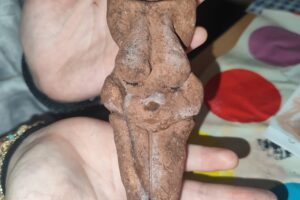 IMG_20260107_103110 IMG_20260107_103110