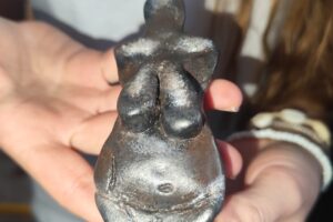 IMG_20260112_131038 IMG_20260112_131038