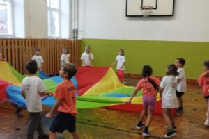 IMG_20241126_141618